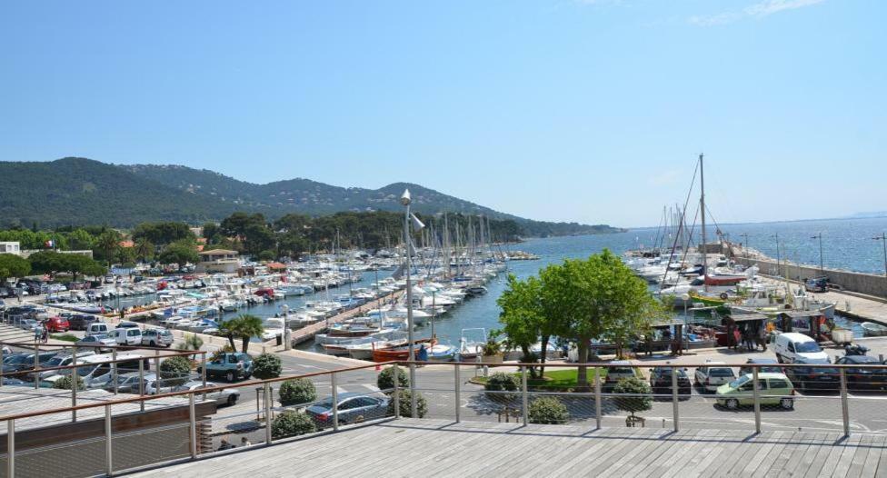 Ferienwohnung Studio 4 Personnes Avec Piscine, Tennis Hyères Exterior foto